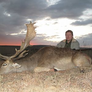 26 inch Fellow Deer