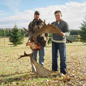 2003 Willmore moose