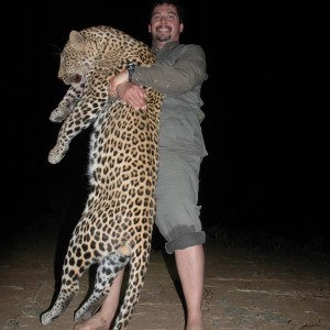 15 inch Leopard hunted in Zimbabwe