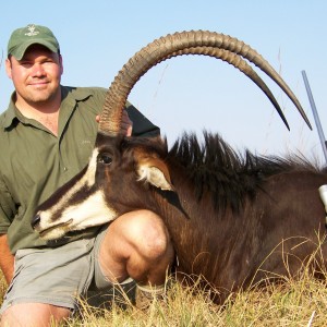 Sable Chobe Zimbabwe