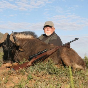 Black Wildebeest hunt in South Africa