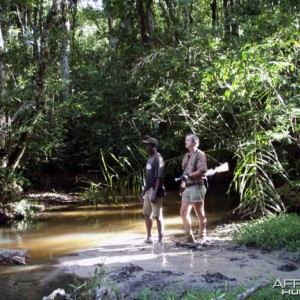 Hunting Bongo in CAR Rudy Lubin Safaris