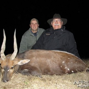 Cape Bushbuck - South Africa