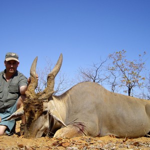 Eland hunted in Zimbabwe