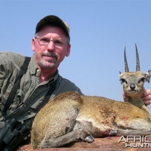 Klipspringer