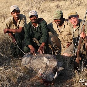 Warthog hunted in Namibia