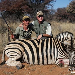 Zebra hunted in Namibia