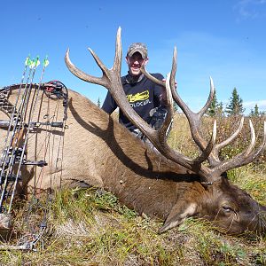 British Columbia Elk