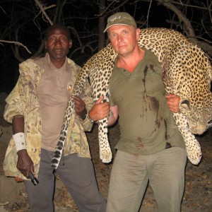 A good Leopard over 7 feet hunted in Tanzania