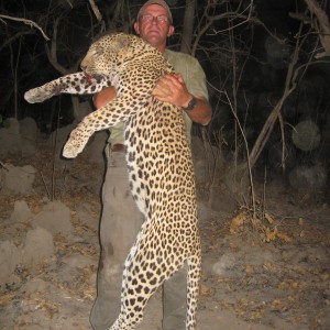 A good Leopard over 7 feet hunted in Tanzania