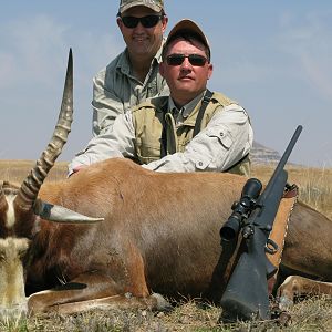 Blesbok South Africa