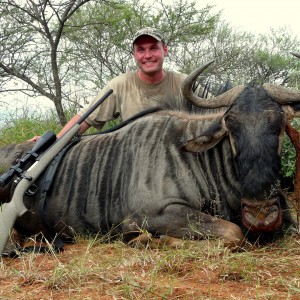 Blue Wildebeest shot near Thabazimbi, South Africa
