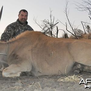 Eland cow Namibia Hunt