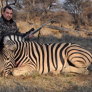 Burchell Zebra Namibia Hunt