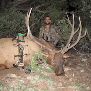 Elk Hunt Arizona