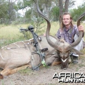 Kudu with bow