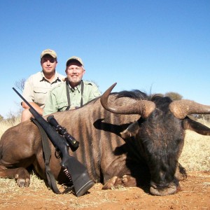 Blue wildebeest Hunt at HartzView Hunting Safaris