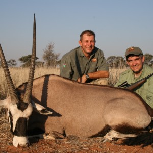 Gemsbok, Namibia