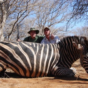 Zebra Limpopo