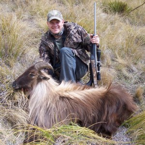 Hunting Tahr in New Zealand