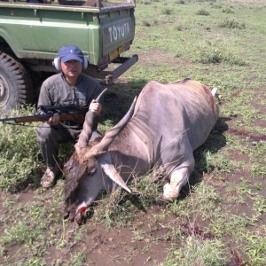 Mature Eland Bull