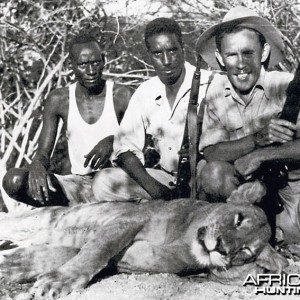 Big-Game Hunter John Kingsley-Heath with a stock-killing lioness he shot in