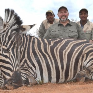 Zebra South Africa