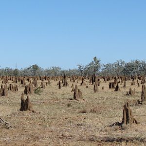 Arnhem Land Australia