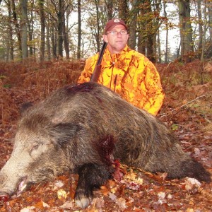 126 kg Wild boar