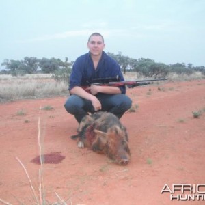 Hunting Pig in Australia