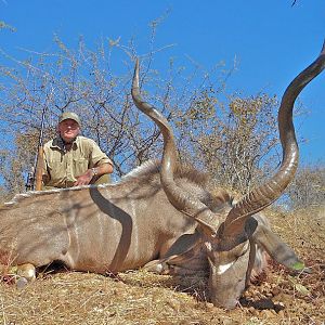 Namibian Greater Kudu