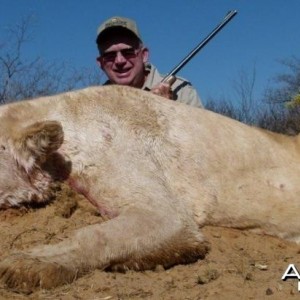 White Lioness hunted with Hartzview Hunting Safaris