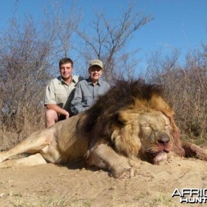 Black Maned Lion hunted with Hartzview Hunting Safaris