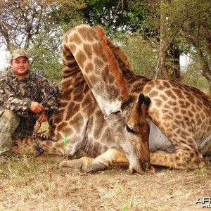 Bowhunting Giraffe in South Africa with Dalerwa Ventures for Wildlife