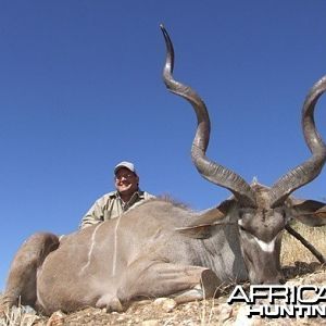 Greater Kudu Namibia