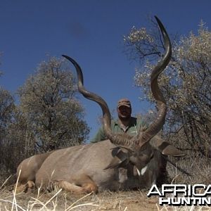 Greater Kudu Namibia