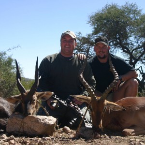 Bushbuck & Impala