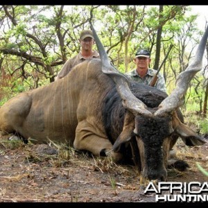 Lord Derby Eland in CAR