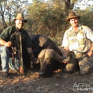 Cape Buffalo Zim taken with Warthog Safaris