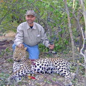 Leopard with bow taken with Warthog Safaris