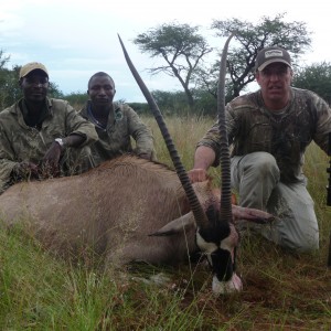 Gemsbok