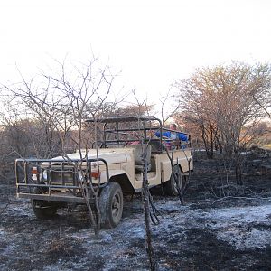 Controlled Bush Fire Namibia