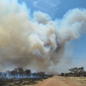 Controlled Bush Fire Namibia