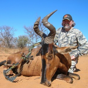 Red Hartabeest