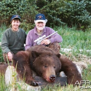 brown bear in alaska