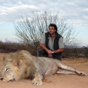 Masailand Lion - Tanzania