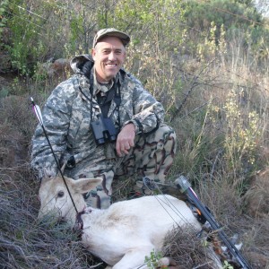 East Cape Fallow deer