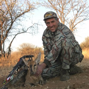 Bush Duiker-Limpopo