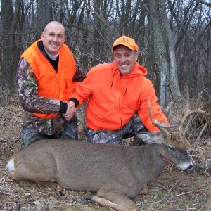 Missouri White-tailed deer