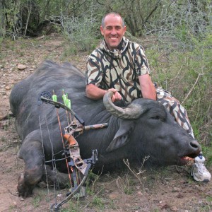 Water Buffalo-Texas